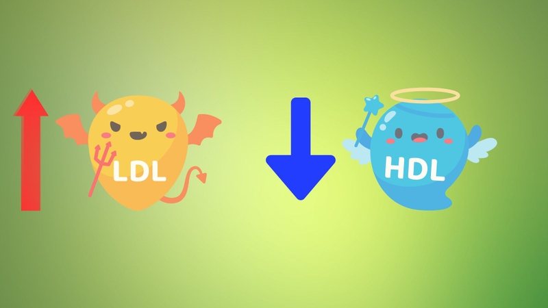 Chất béo chuyển hóa là gì? Tác hại của chất béo chuyển hóa như thế nào? 2