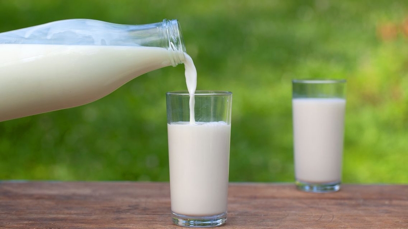 Rất nhiều người băn khoăn&nbsp;chất béo trong sữa cao có tốt không