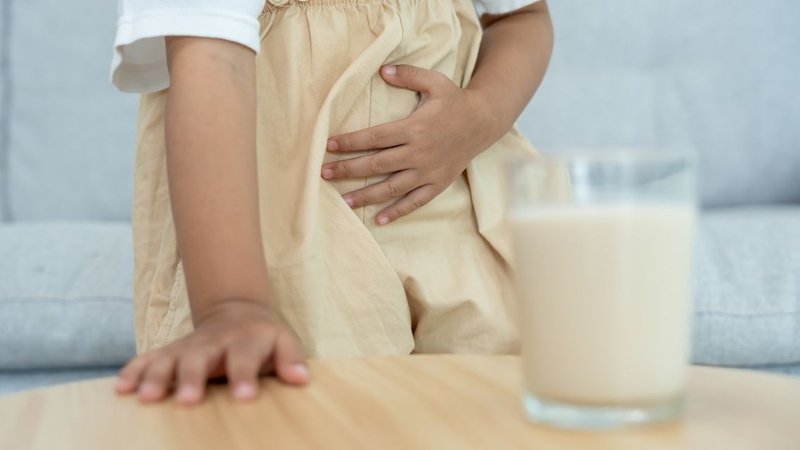 Lượng chất béo trong sữa quá cao có thể khiến hệ tiêu hóa khó chịu