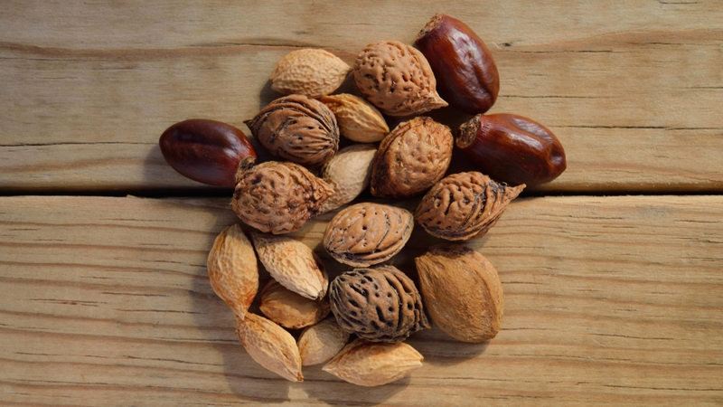 Các loại hạt giàu dinh dưỡng và giúp giảm hấp thu cholesterol tại ruột