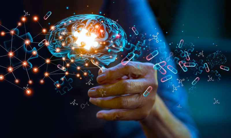 Chất bổ sung tập thể hình có thể giúp ngăn chứng mất trí nhớ do bệnh Alzheimer? 2