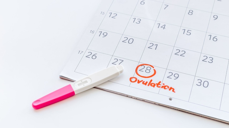 Quan hệ tình dục vào thời điểm rụng trứng làm tăng nguy cơ có thai khi chỉ có chất nhờn
