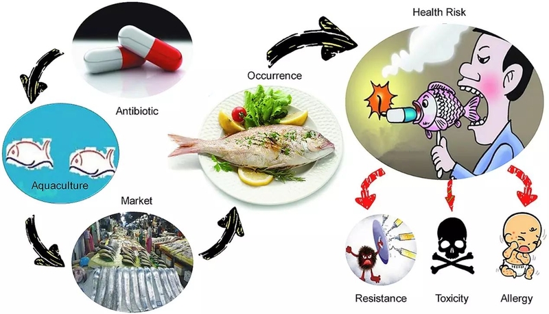 Chất phụ gia là gì? Những điều cần biết về chất phụ gia-4