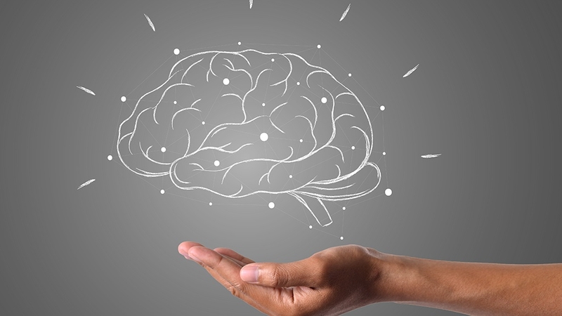 Chất xám là gì? Vai trò và dấu hiệu tổn thương chất xám là gì? 1