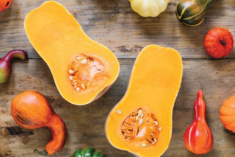 Chất xơ bí đỏ là gì? 2