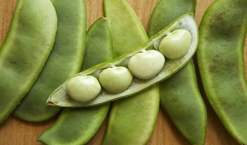 Chất xơ hòa tan có trong thực phẩm nào? 3