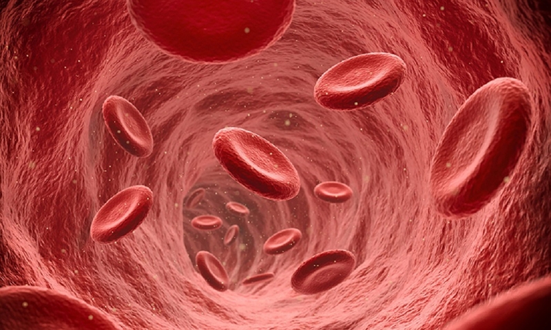 Chảy máu động mạch có đặc điểm gì? Cách sơ cứu cho nạn nhân bị chảy máu động mạch 1