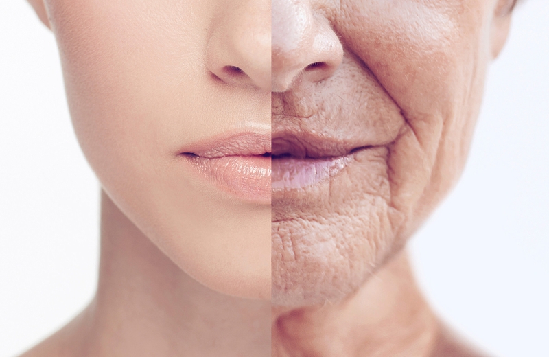 Giảm lượng calo tiêu thụ hàng ngày có thể giúp làm chậm các dấu hiệu lão hóa