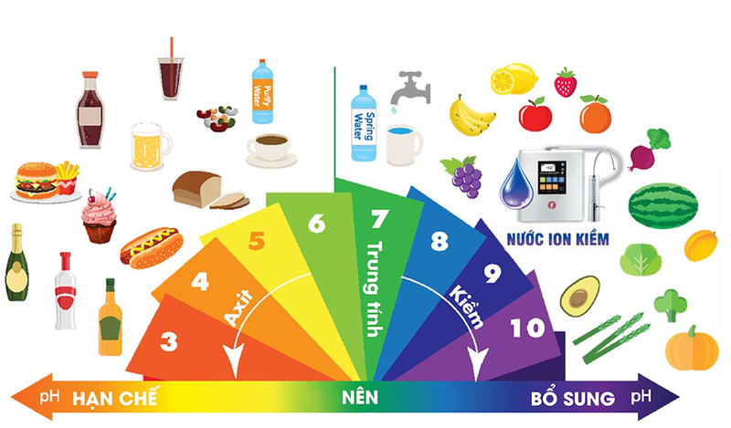 Phân loại nhóm thực phẩm