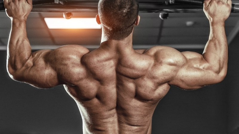 Chế độ Arnold split: Một số ưu và nhược điểm trong khi tập luyện 1