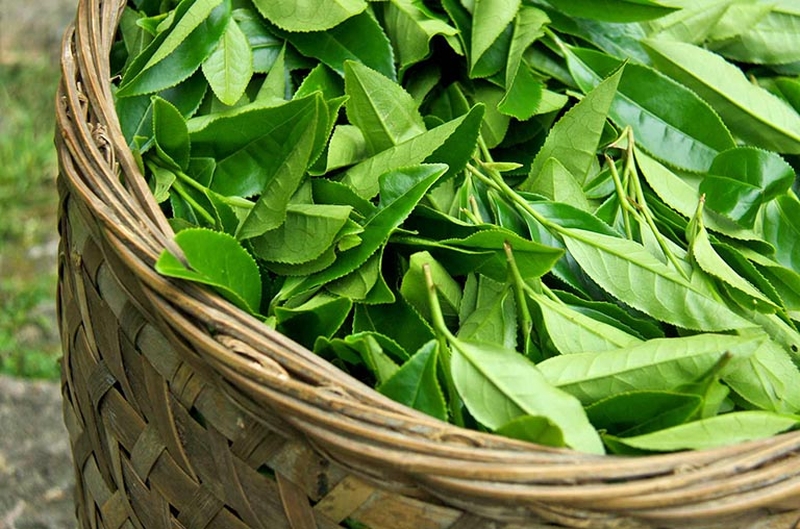 Cách trị ngứa 2 bên mép vùng kín tại nhà hiệu quả chị em nên biết 4