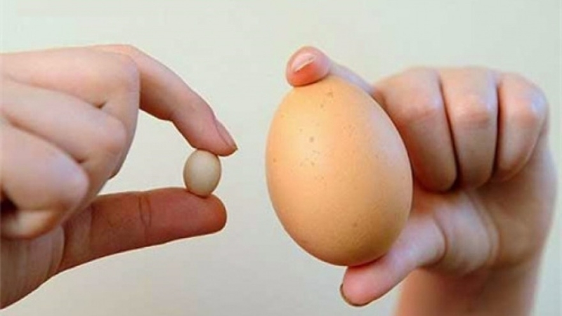 Chỉ còn 1 tinh hoàn có sinh con được không​? 3