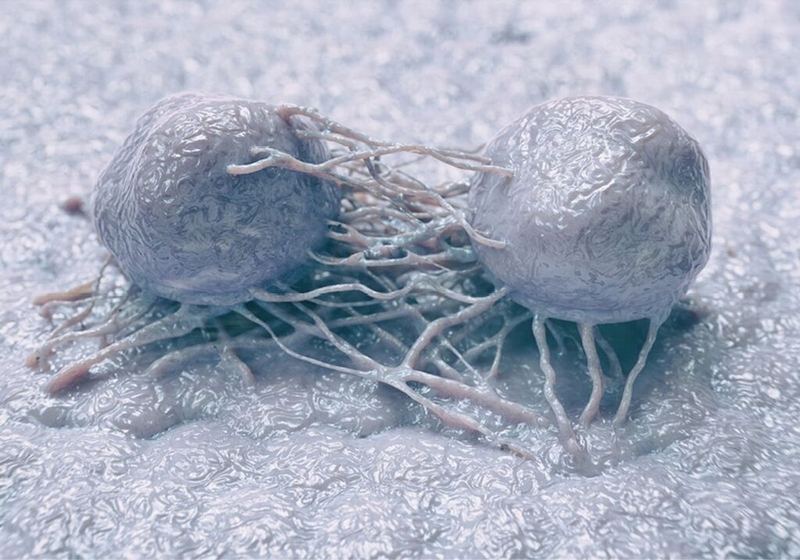 Chỉ định của xét nghiệm tủy đồ là gì? Quy trình thực hiện xét nghiệm tuỷ đồ 2