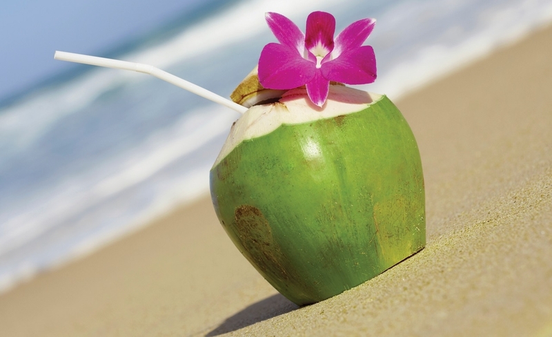 Chỉ một tuần là khỏi bệnh gút nhờ lá trầu không và nước dừa