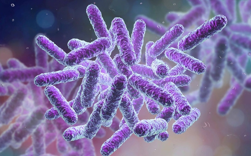 chi-phi-mo-hach-o-nach-co-mac-khong-khi-nao-can-mo-hach-o-nach 2