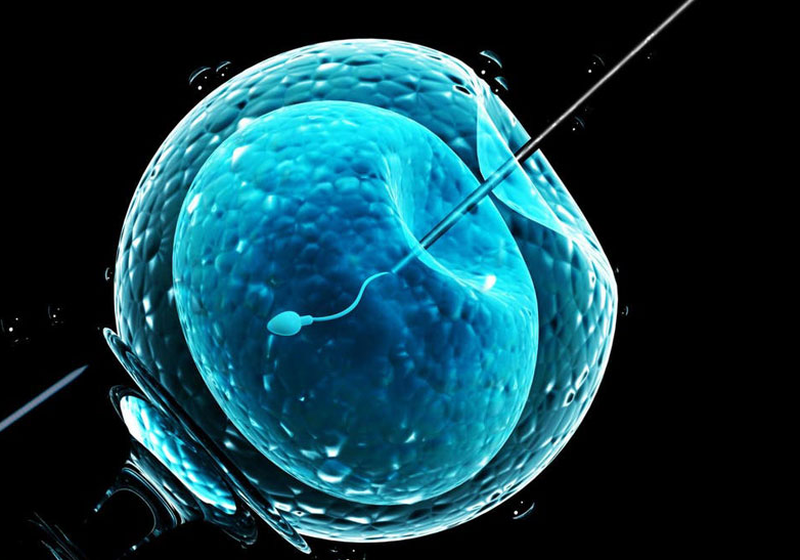 Chi phí sàng lọc tinh trùng sinh con trai là bao nhiêu? 3