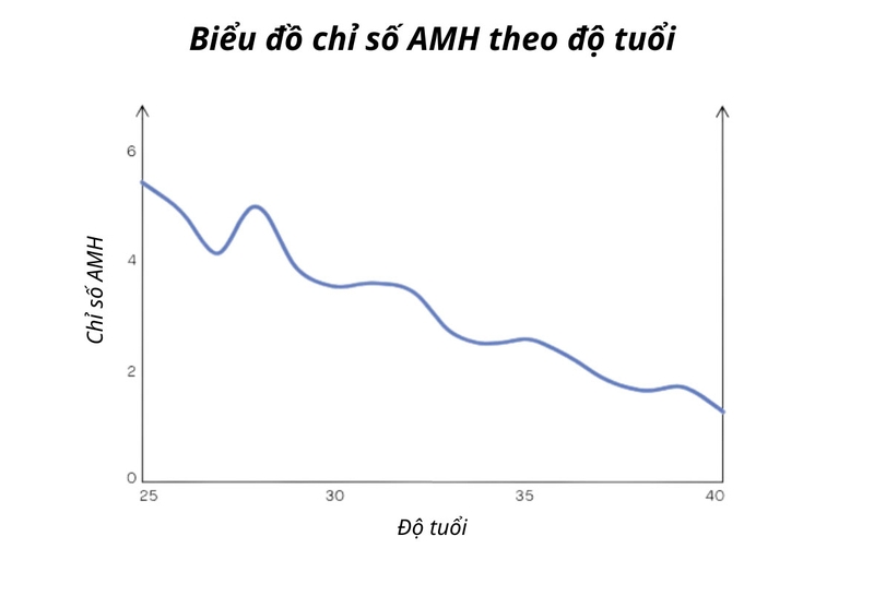 Chỉ số amh là gì? Xét nghiệm amh ở đâu? 2