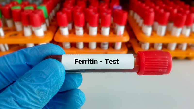 Chỉ số Ferritin là gì? Ý nghĩa của xét nghiệm Ferritin 1