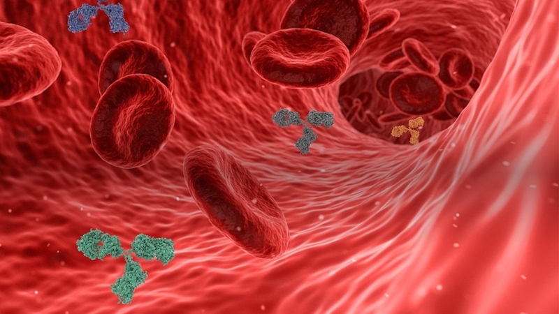 Chỉ số G6PD bao nhiêu là bình thường Giải đáp về chỉ số G6PD 1