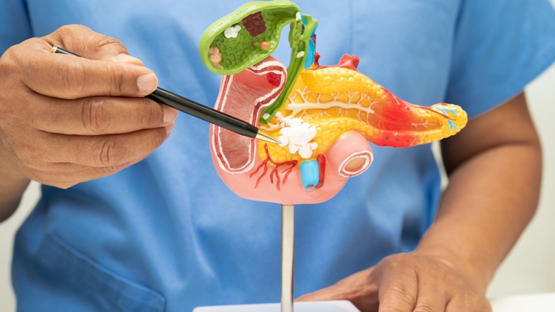 Chỉ số GGT của gan là gì?