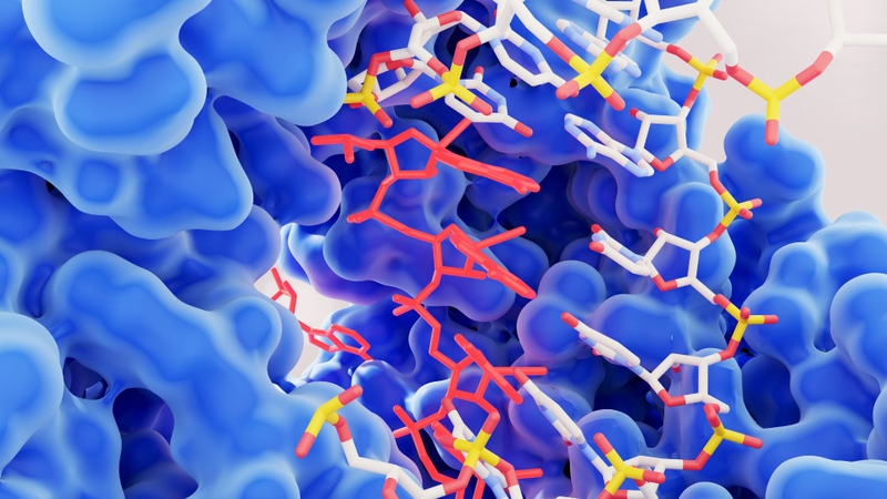 Chỉ số GGT của gan tăng cao có thể đến từ nhiều nguyên nhân khác nhau