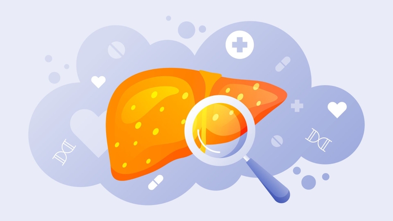 Chỉ số GGT của gan: Ý nghĩa, nguyên nhân tăng cao và khi nào cần lo lắng 3