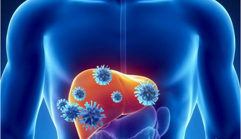 chi-so-ggt-la-gi-va-mot-so-thong-tin-can-biet-ve-chi-so-ggt 2.png