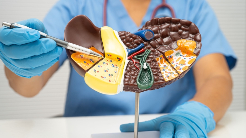 Chỉ số GGT trong máu có thể tăng khi tế bào gan hoặc hệ thống đường mật bị tổn thương