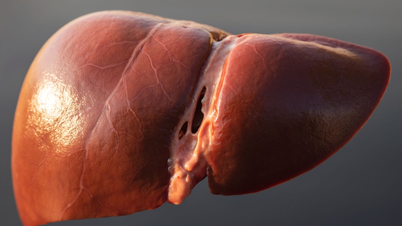 Chỉ số GGT tăng đơn độc có sao không?