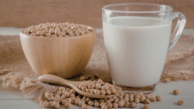 Sữa hạt giúp bổ sung nguồn protein thực vật