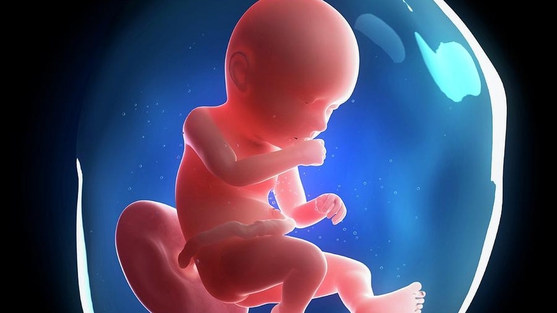 Chỉ số nước ối 60mm là bình thường hay đáng lo? Những điều mẹ bầu cần biết 2