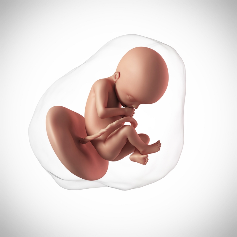 Chỉ số nước ối tính theo mm bao nhiêu là bình thường? - 2