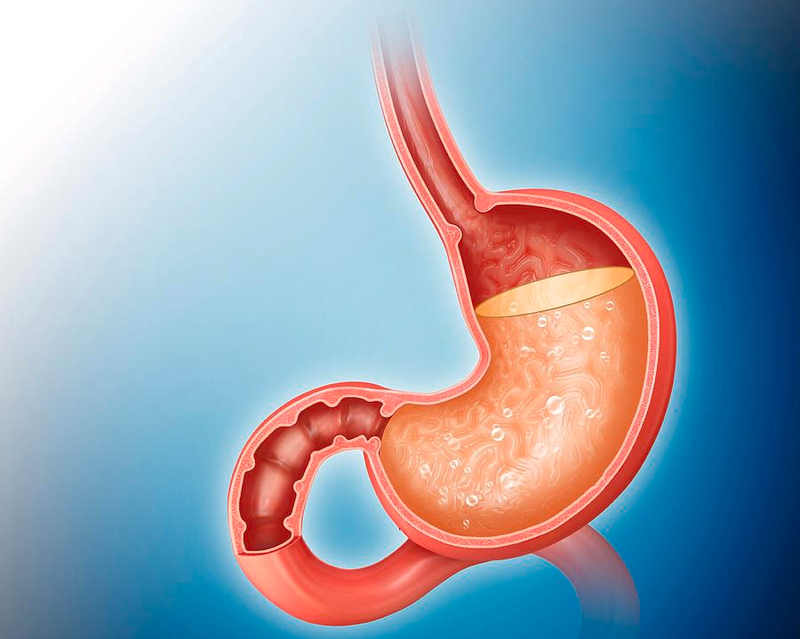 Chỉ số PH dạ dày là gì bạn đã biết hay chưa?2