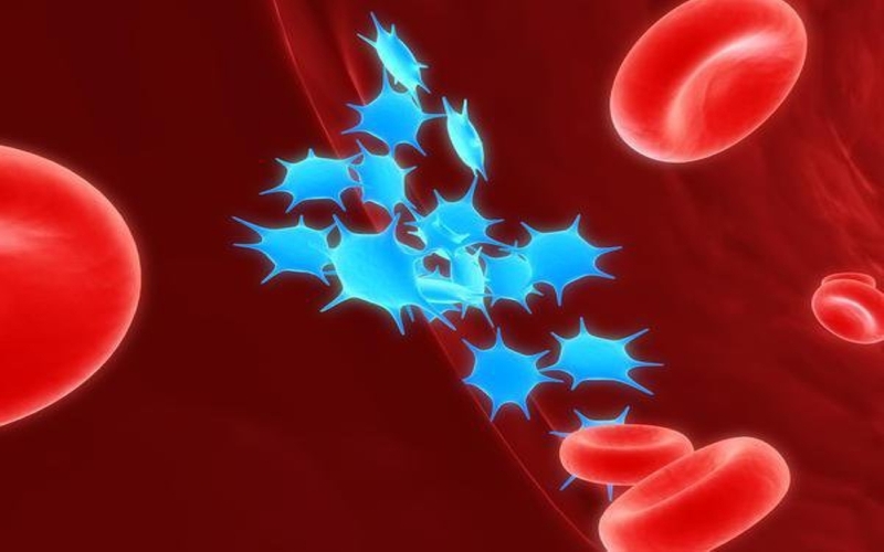 Chỉ số tiểu cầu bình thường là bao nhiêu? Chỉ số tiểu cầu bất thường do nguyên nhân gì? 1