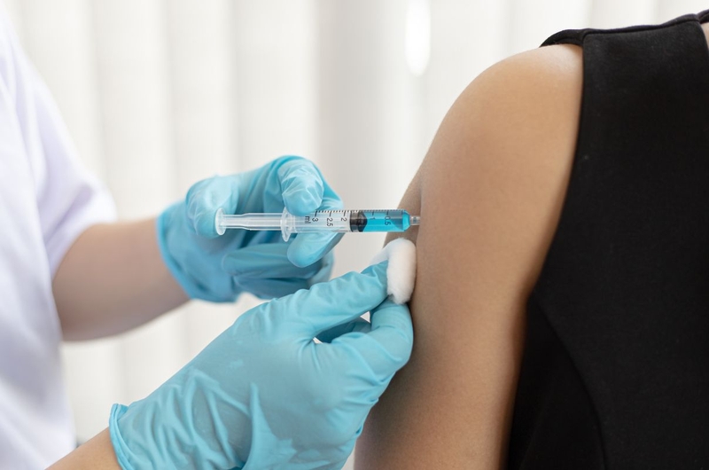 Mèo cắn có cần chích ngừa không? Chích ngừa mèo cắn bao nhiêu tiền 3