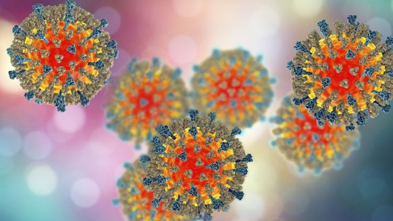 chich-ngua-soi-9-thang-nhung-dieu-cha-me-nen-biet 1