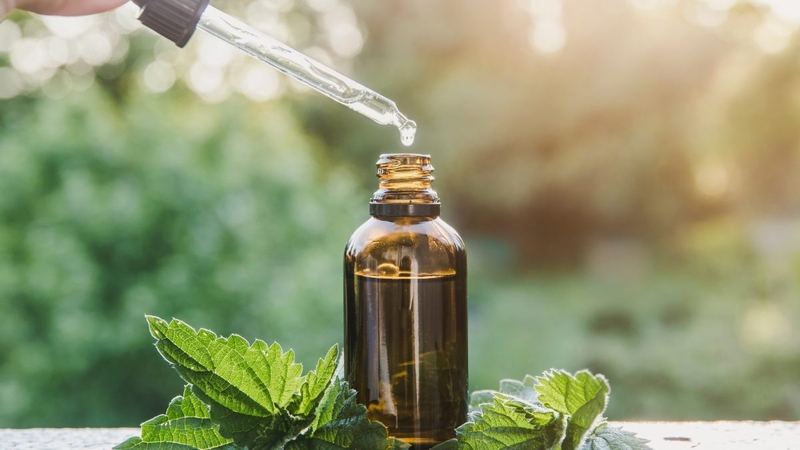 Chiết xuất alyxia stellata là gì? Có tác dụng gì? 2