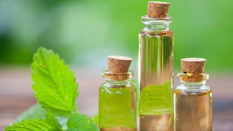 Chiết xuất bạc hà dùng trong mỹ phẩm là gì? Để làm gì? 1