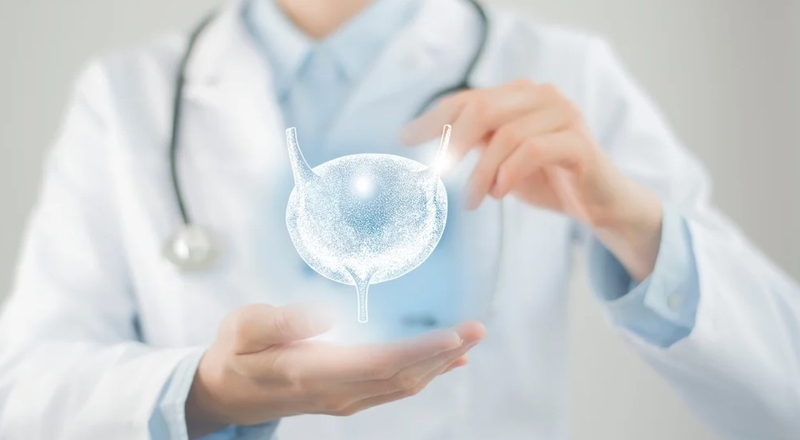 Chiết xuất hạt nho và những lợi ích tuyệt vời với sức khỏe 3