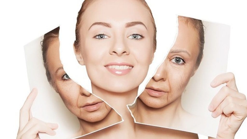 Chiết xuất hoa hồng đá và những điều cần biết 2