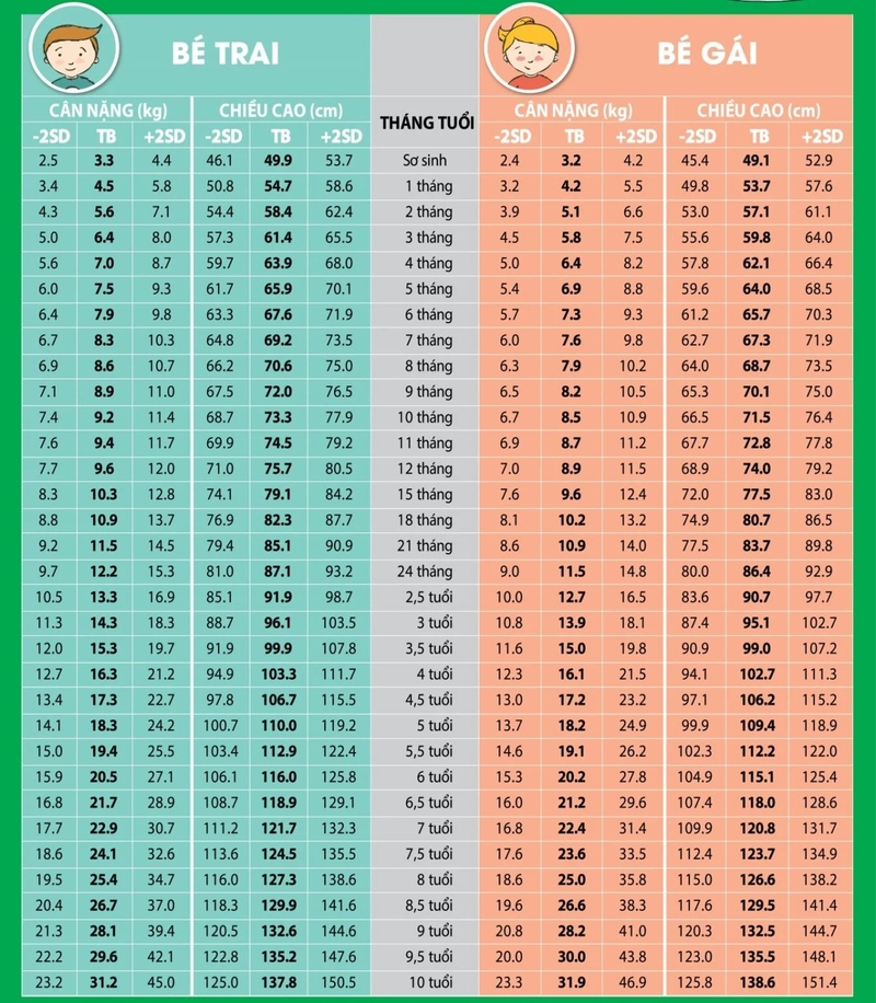chieu-cao-can-nang-chuan-cua-be-viet-nam-tu-0-10-tuoi 1.jpg