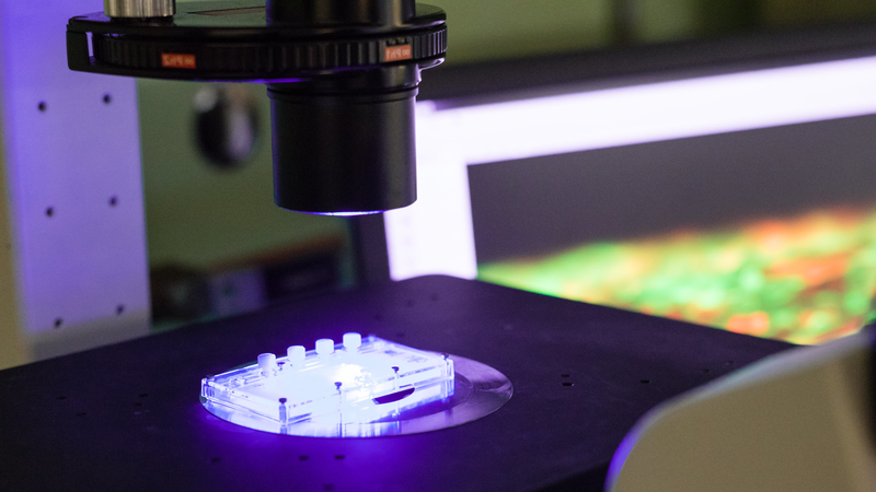 Chip thận mới mang lại bước đột phá cho phát triển thuốc và y học cá nhân hóa 4