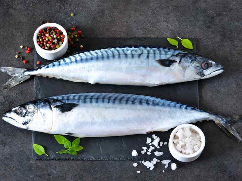 Cho con bú ăn cá biển được không 1