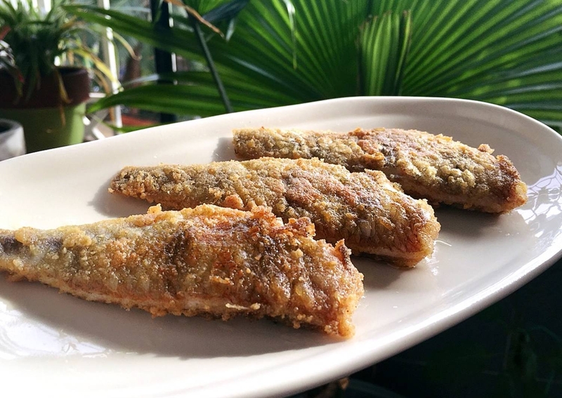 Cho con bú ăn cá biển được không 5