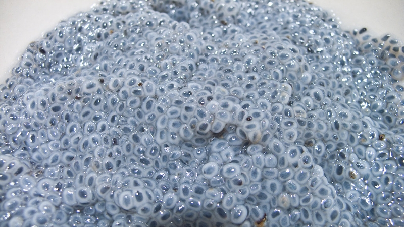 Mẹ có thể ngâm hạt é trong nước ấm rồi pha cùng nước trái cây, sữa tươi hoặc mật ong