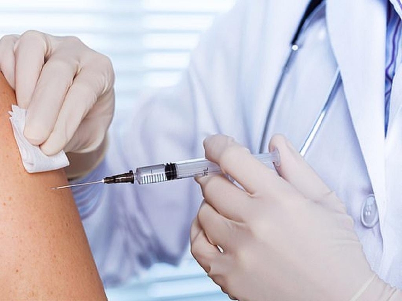 chó đã được tiêm phòng dại cắn có sao không 3