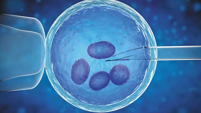 Chọc trứng thụ tinh ống nghiệm có đau không 1