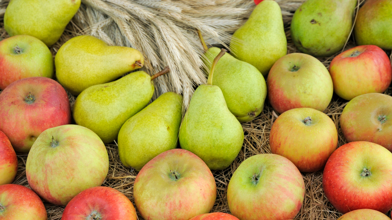 Cholesterol cao nên ăn gì để giảm mỡ máu tự nhiên và hiệu quả? 4