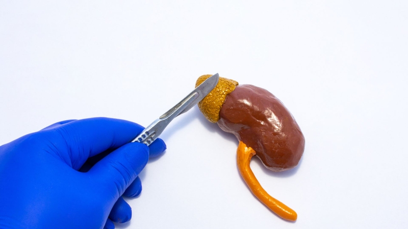 Cholesterol có chức năng gì và cách kiểm soát cholesterol 2