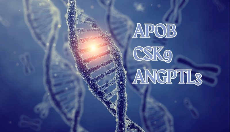 Hạ betalipoprotein máu gia đình: Nguy cơ tiềm ẩn và những điều cần biết 2